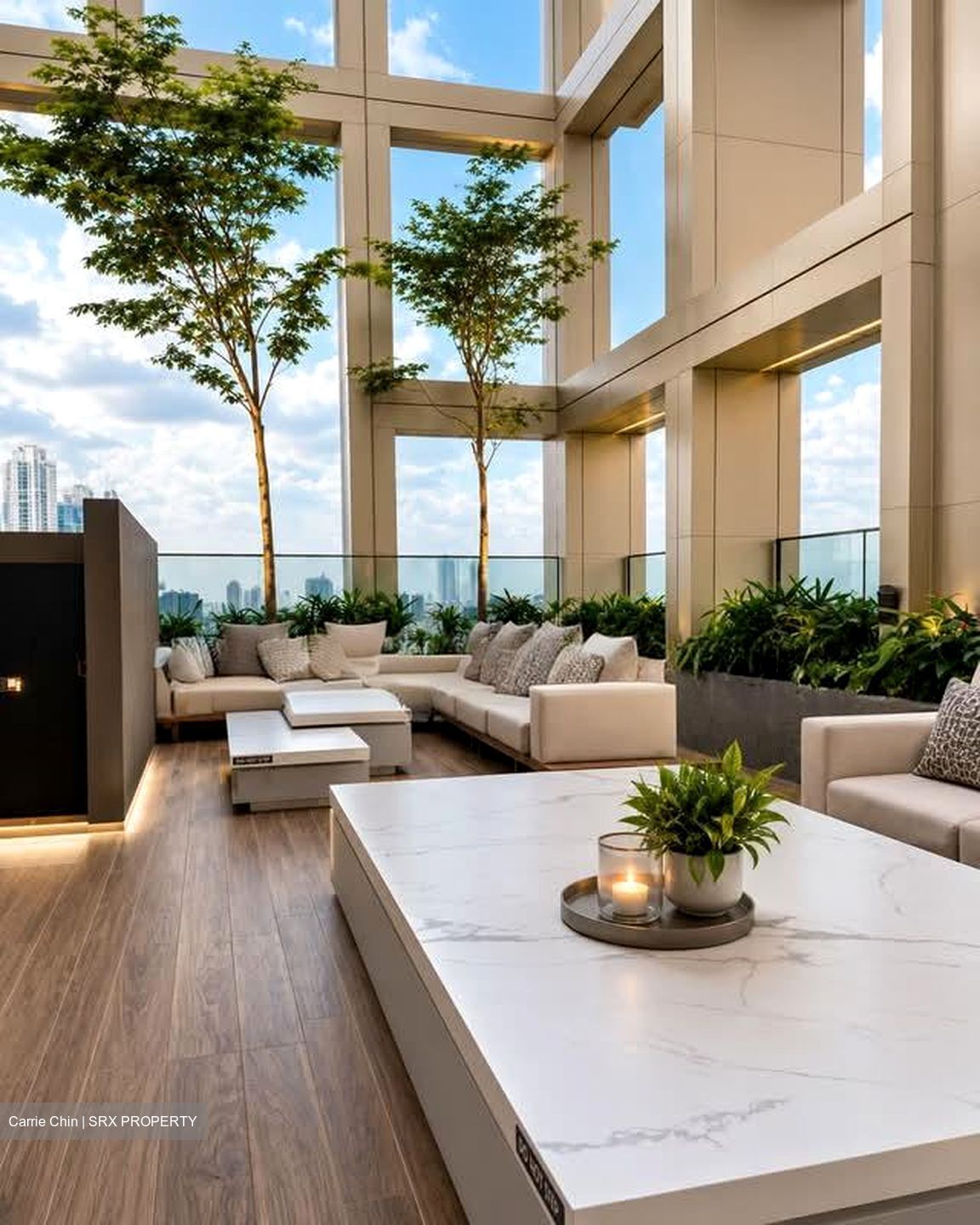 Irwell Hill Residences (D9), Apartment #571442531